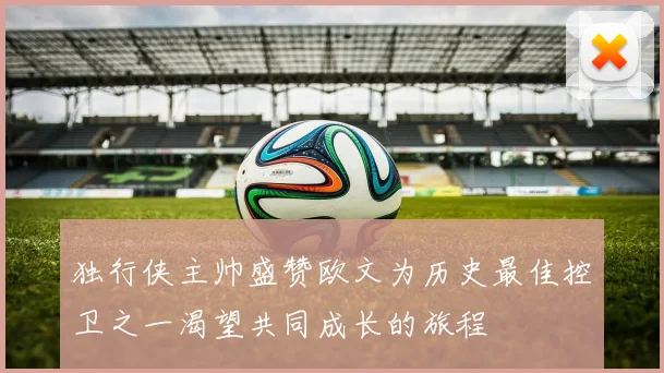 独行侠主帅盛赞欧文为历史最佳控卫之一渴望共同成长的旅程