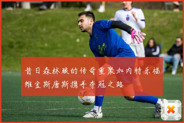昔日森林狼的传奇重聚加内特乐福维金斯唐斯携手夺冠之路